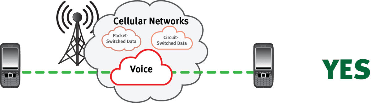 cellular voice network - mobile to mobile only